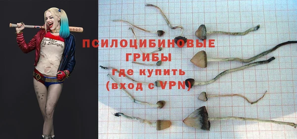 apvp Аркадак