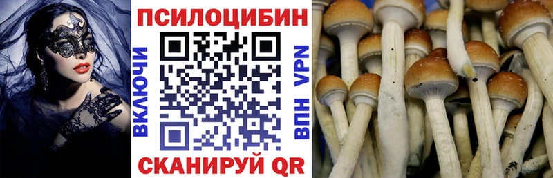 Псилоцибиновые грибы Cubensis  МЕГА ссылка  Щёкино 